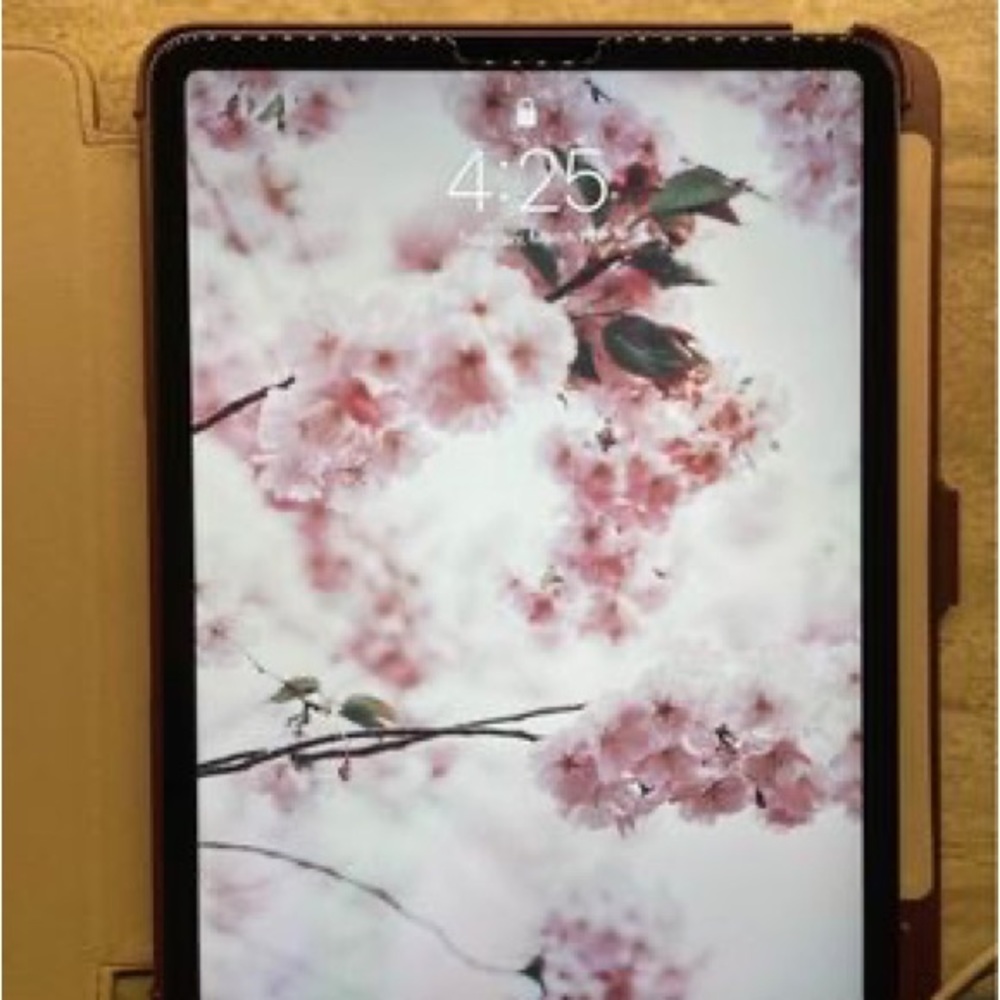 Apple IPad Pro - First Gen - Picture 5 of 5